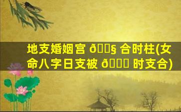 地支婚姻宫 🐧 合时柱(女命八字日支被 🐈 时支合)